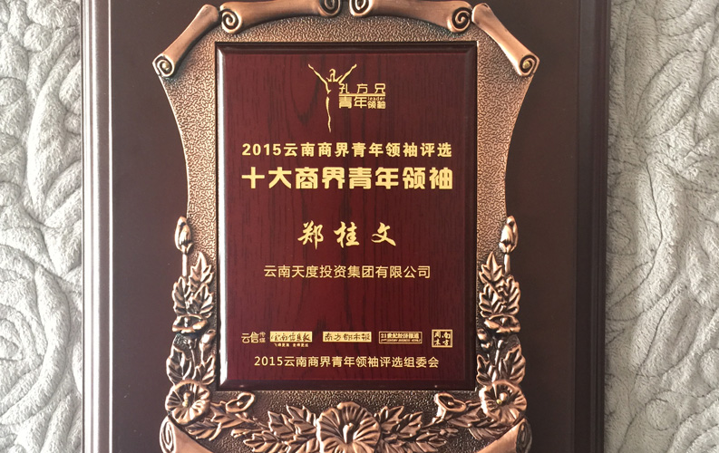 在“互联网大时代”的背景下，PG试玩入口官网作为本土很大和很有名的互联网服务企业，为近万家传统企业转型互联网+提供了服务和帮助，获此奖项后，PG电子模拟器将再接再厉，创造更高的社会价值